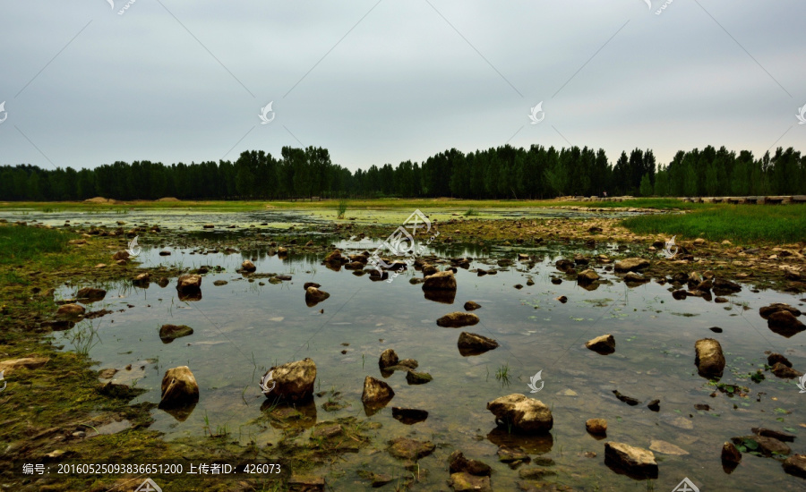 河道