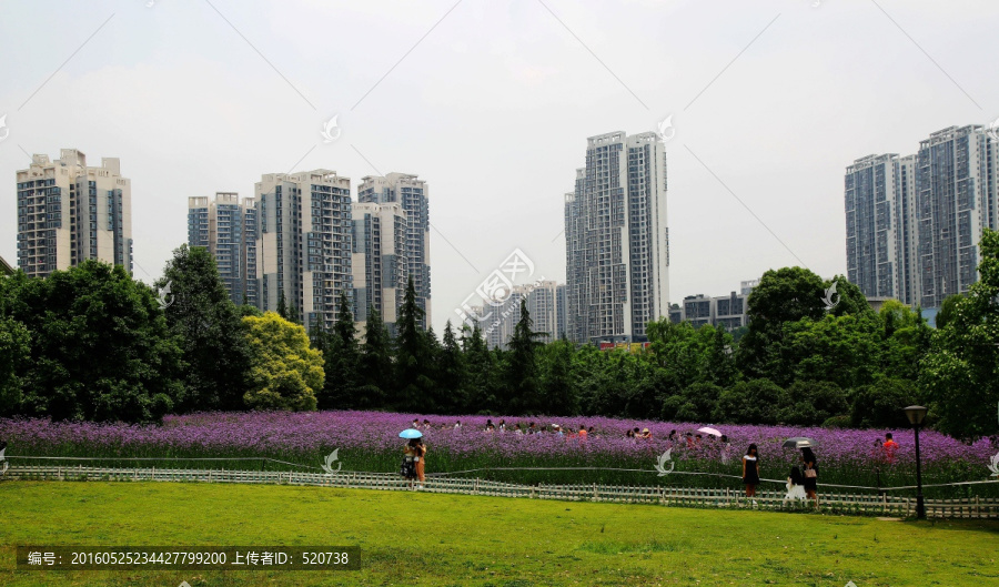 重庆,师范大学