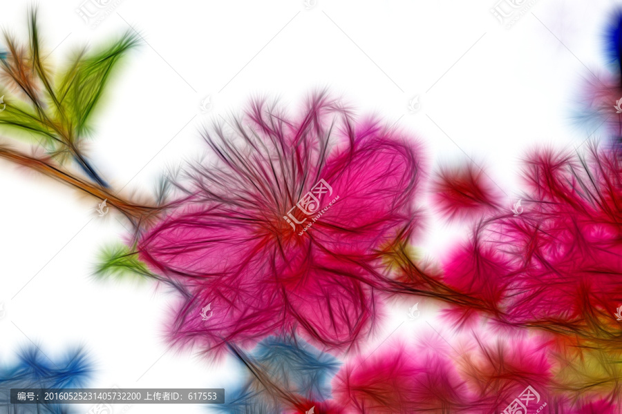 桃花