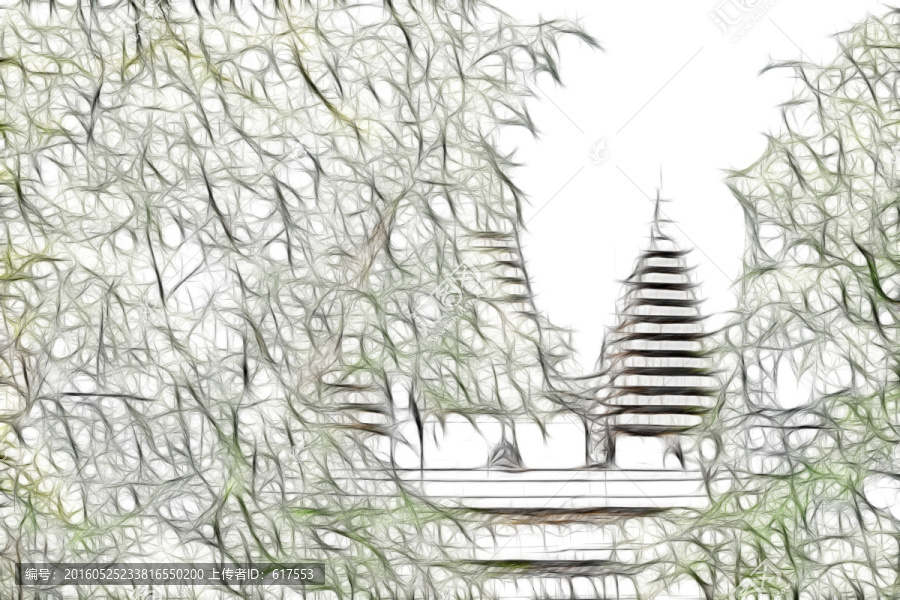 銀杏樹(shù)