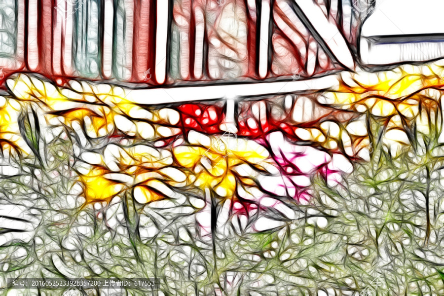 鄒菊花