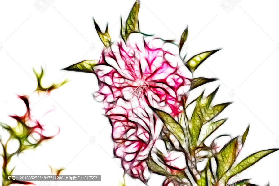 桃花