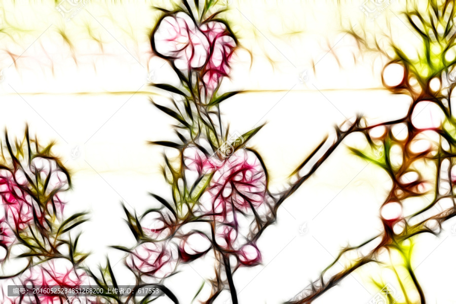桃花