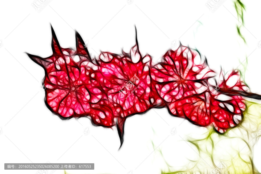 桃花盛開