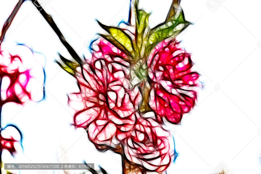 櫻花