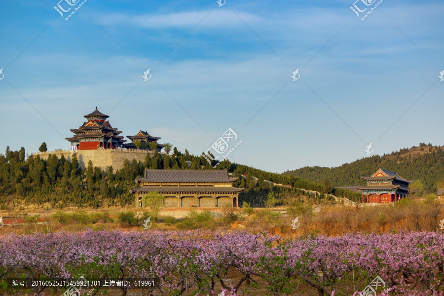 田园桃花,甲子园春景