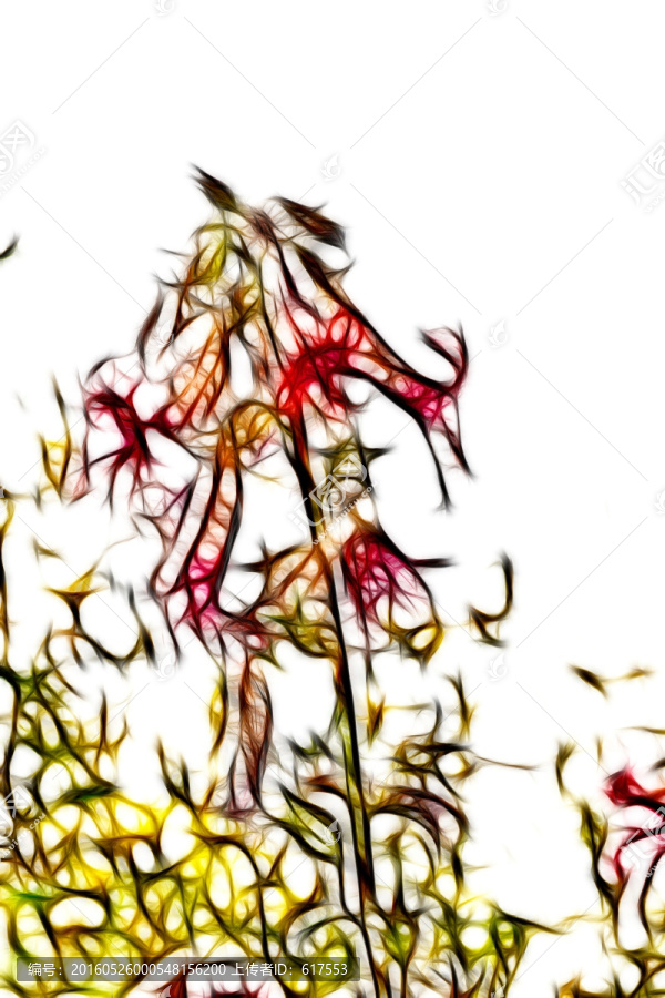 地黃花