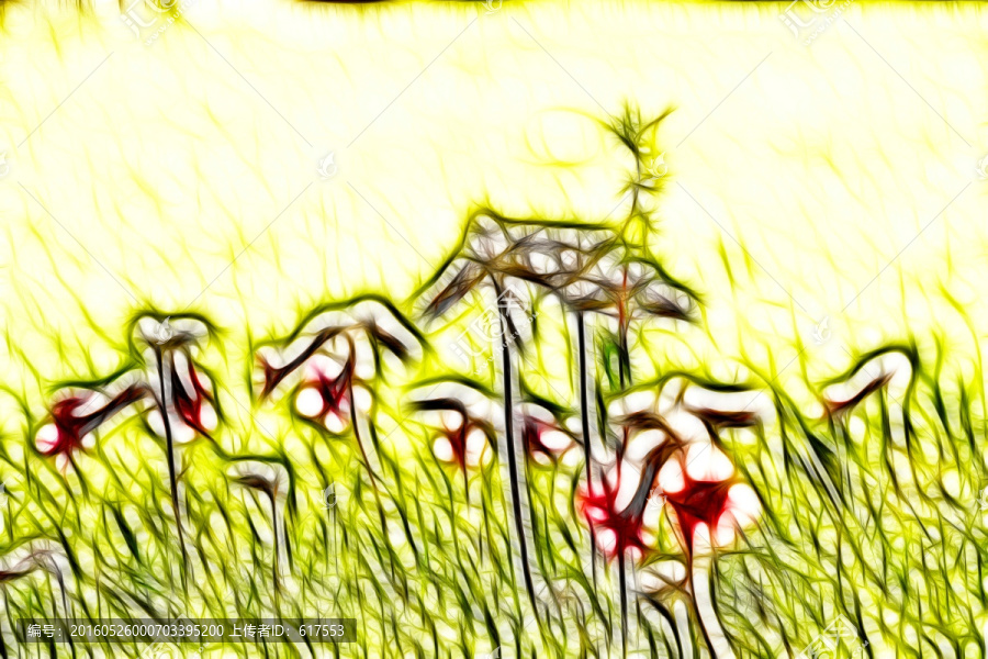 地黃花