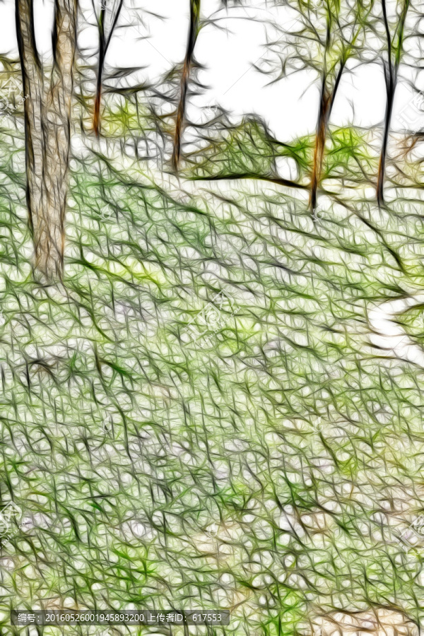 樹(shù)林花叢