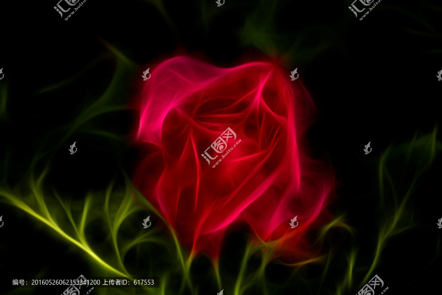 玫瑰菊花