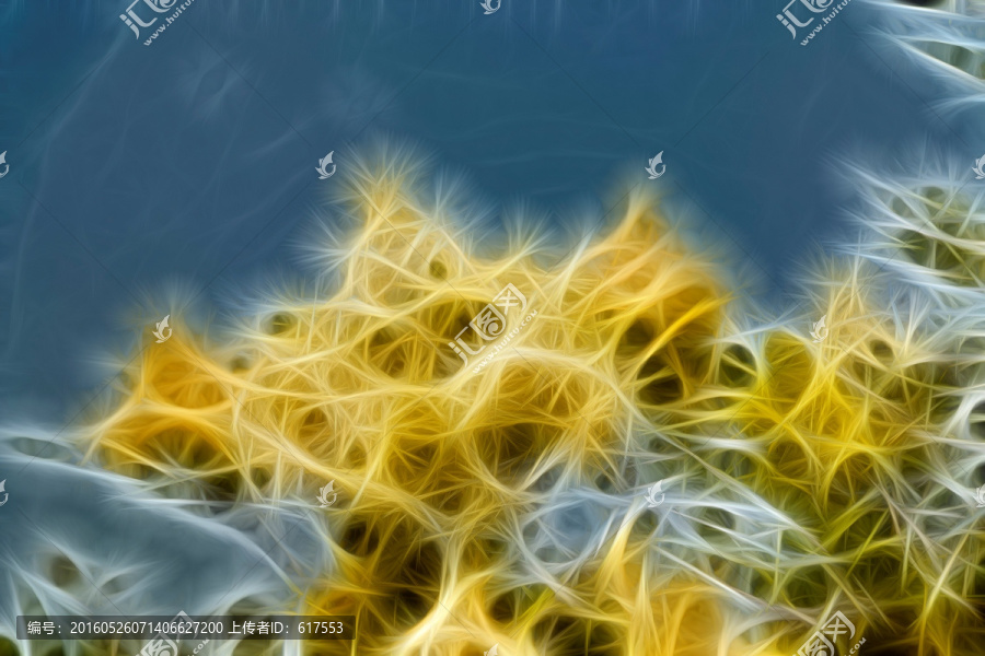 流蘇樹開花裝飾畫