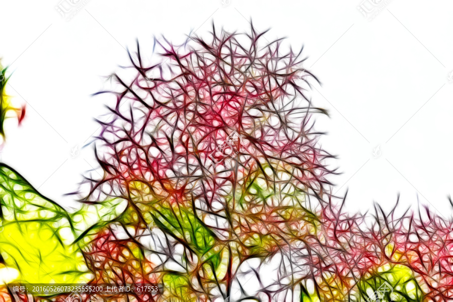 黃櫨開花抽象畫