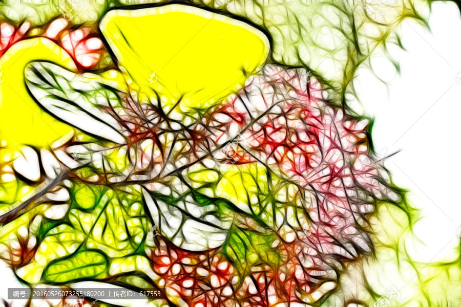 黃櫨開花裝飾畫