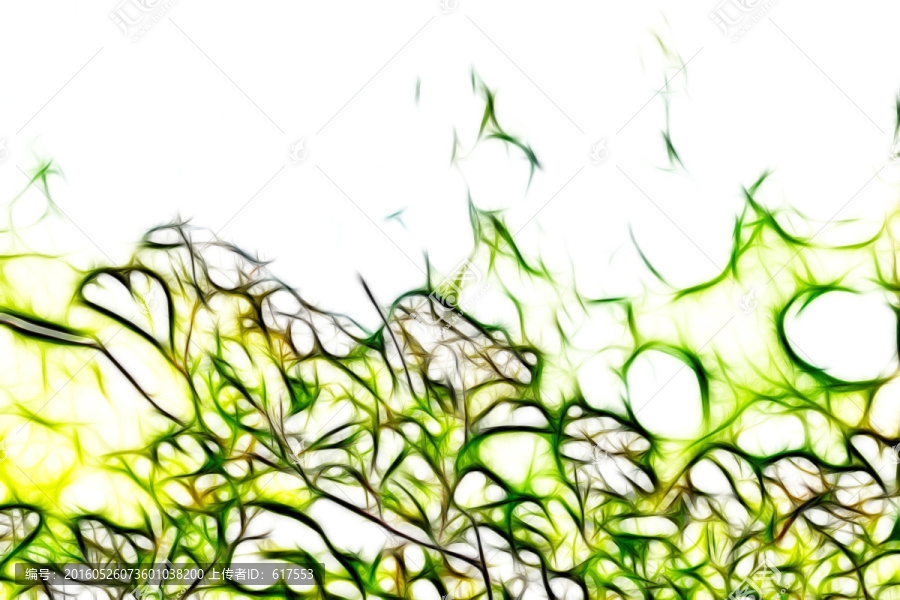 李葉繡線菊抽象畫(huà)
