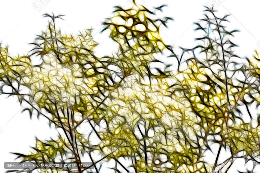流蘇樹開花抽象畫