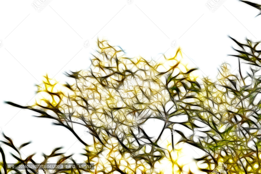 流蘇樹開花抽象畫