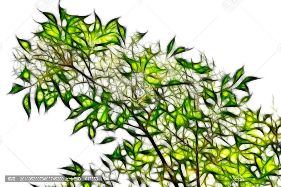 流蘇樹(shù)開(kāi)花抽象畫(huà)