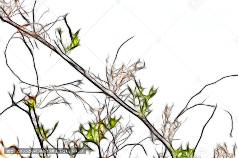 酸棗樹枝葉抽象畫