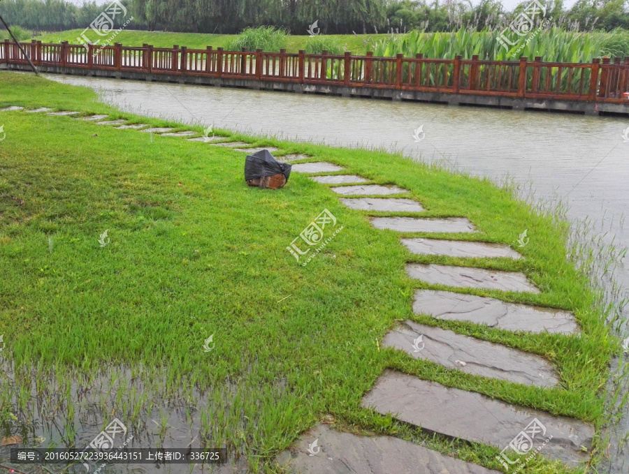 城市园林小景,雨中的池塘