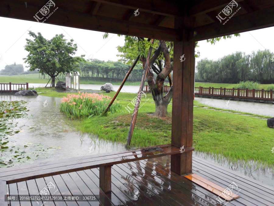 城市园林小景,雨中的小木亭