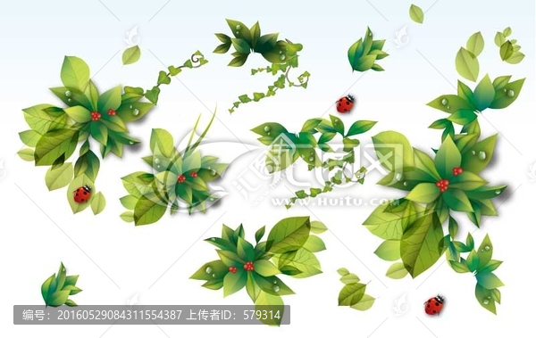 樹葉花朵