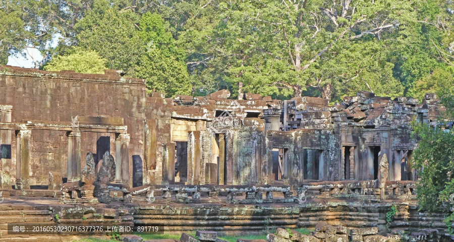 原始森林柬埔寨