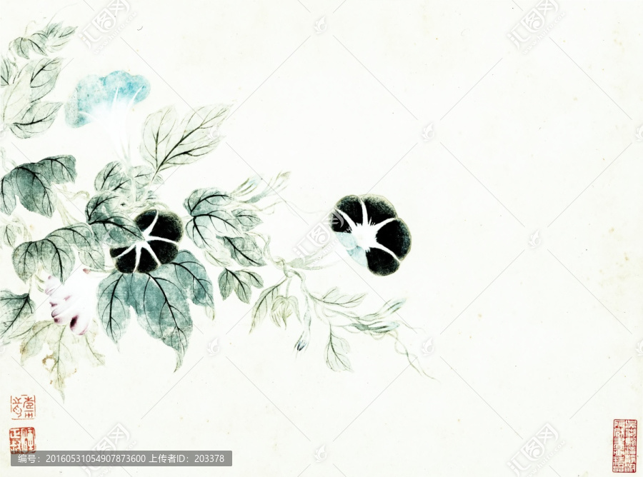 手繪花卉