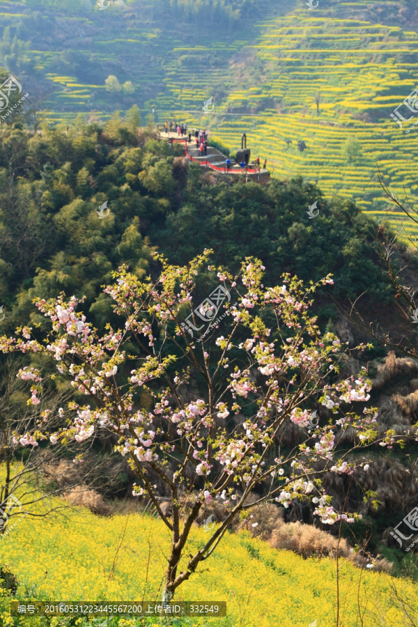 婺源,篁岭