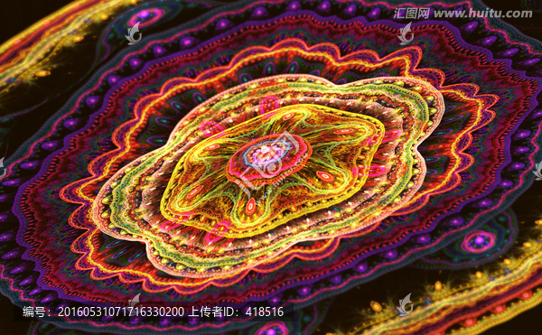 花紋圖案