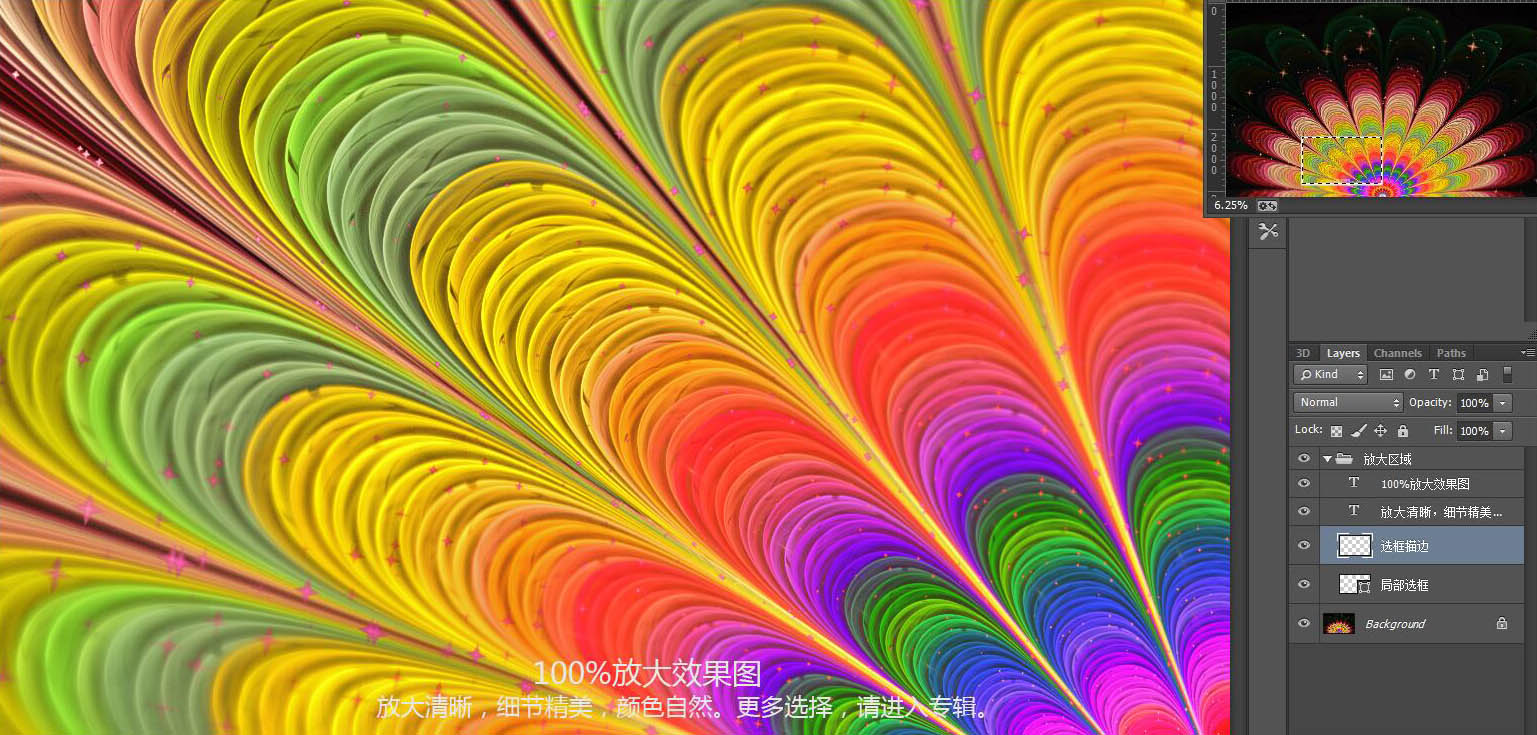孔雀開屏