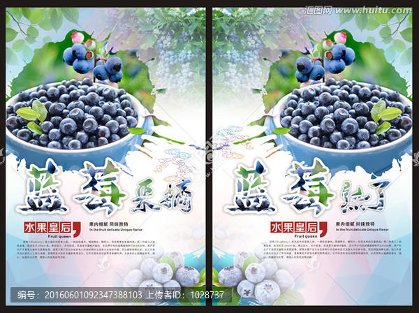 蓝莓海报设计
