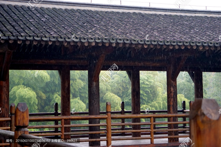 园林雨景