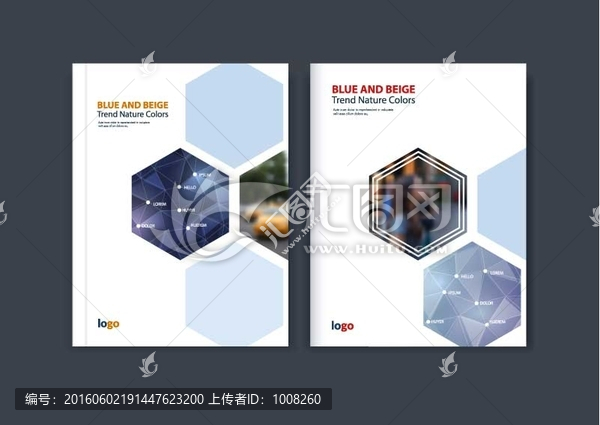 國外創(chuàng)意畫冊封面