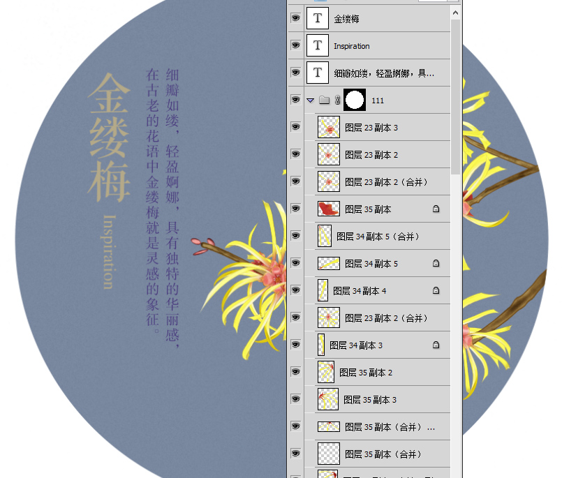 花語,金縷梅