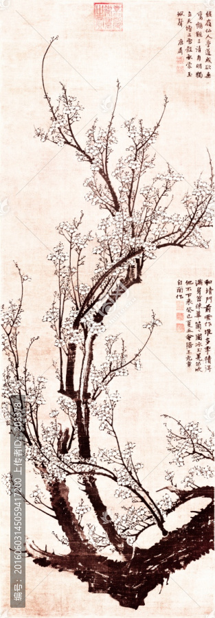 王冕,南枝春早