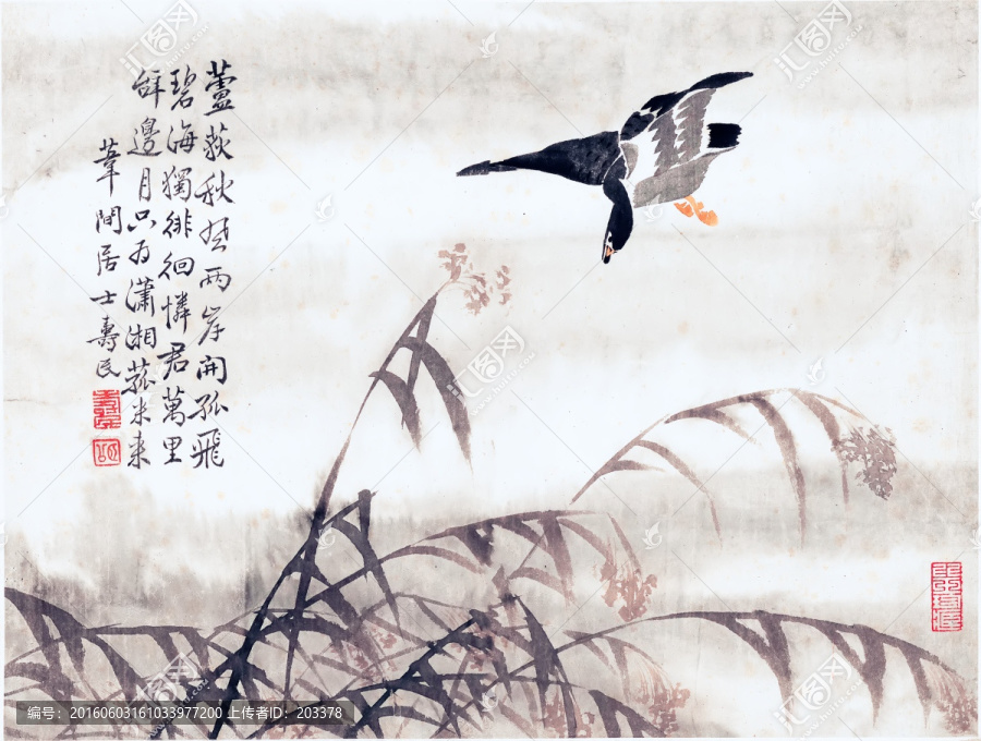 邊壽民蘆雁圖