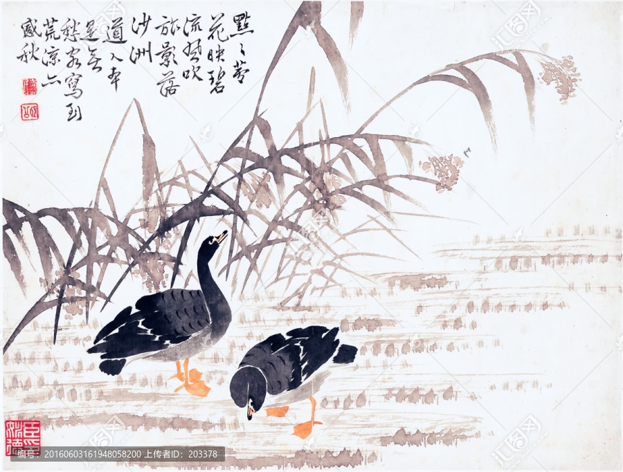 國(guó)畫花鳥