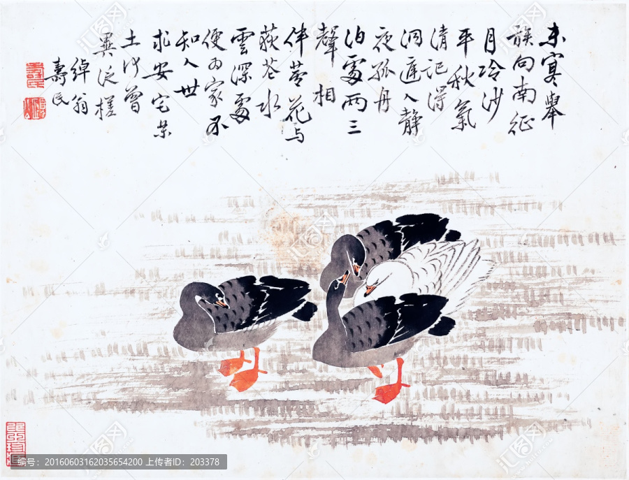 國畫花鳥