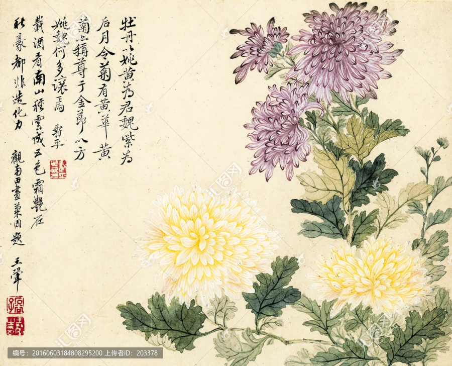 惲壽平,國(guó)畫菊花