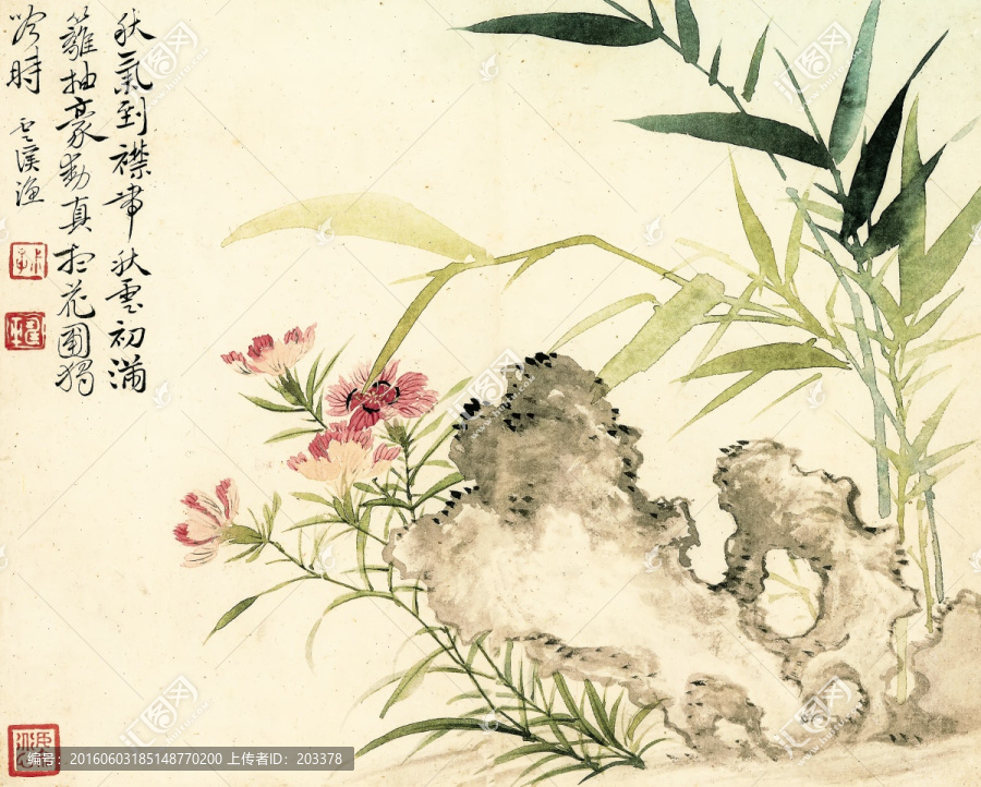 惲壽平,洛陽花