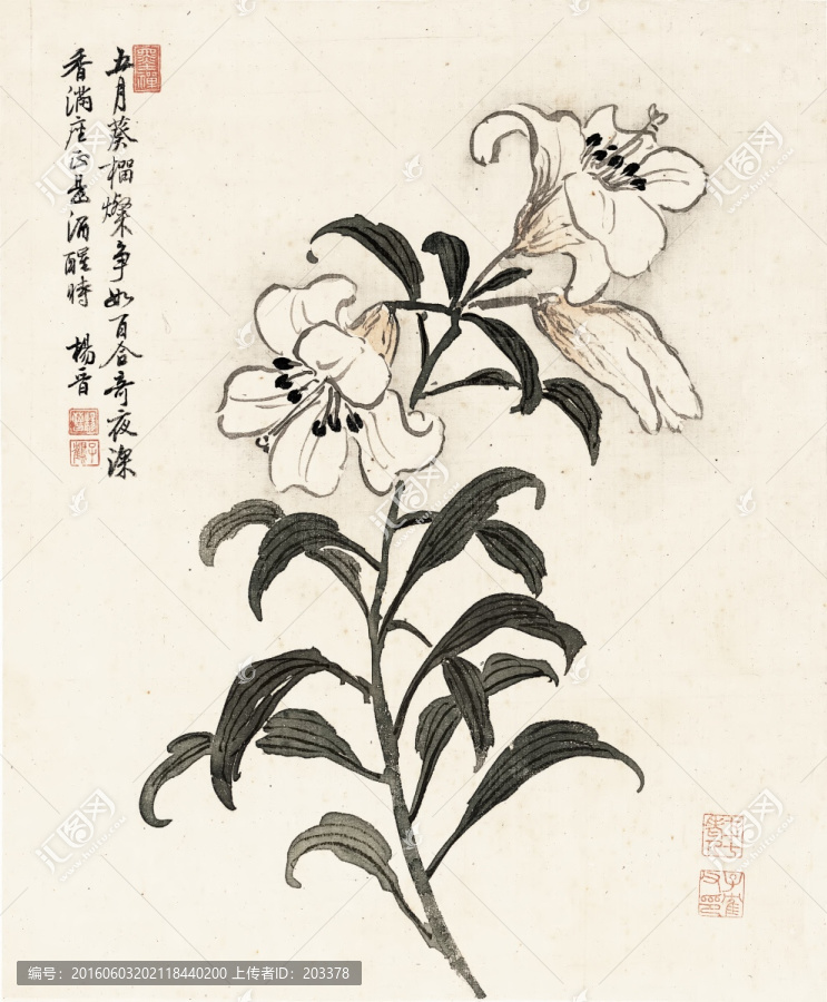 清,楊晉,花鳥十二開