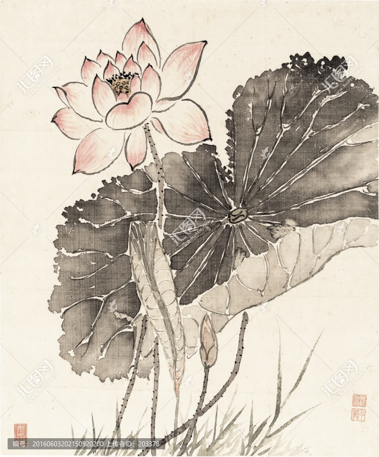 清,楊晉,花鳥(niǎo)十二開(kāi)