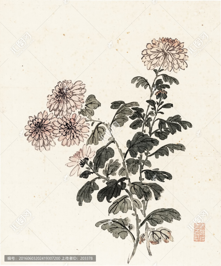 清,楊晉,花鳥十二開