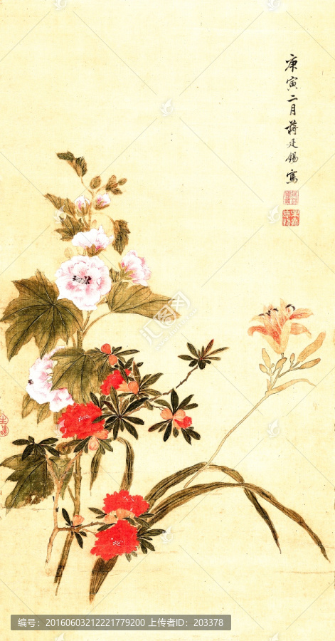 清,蔣廷錫,蜀葵宣花圖