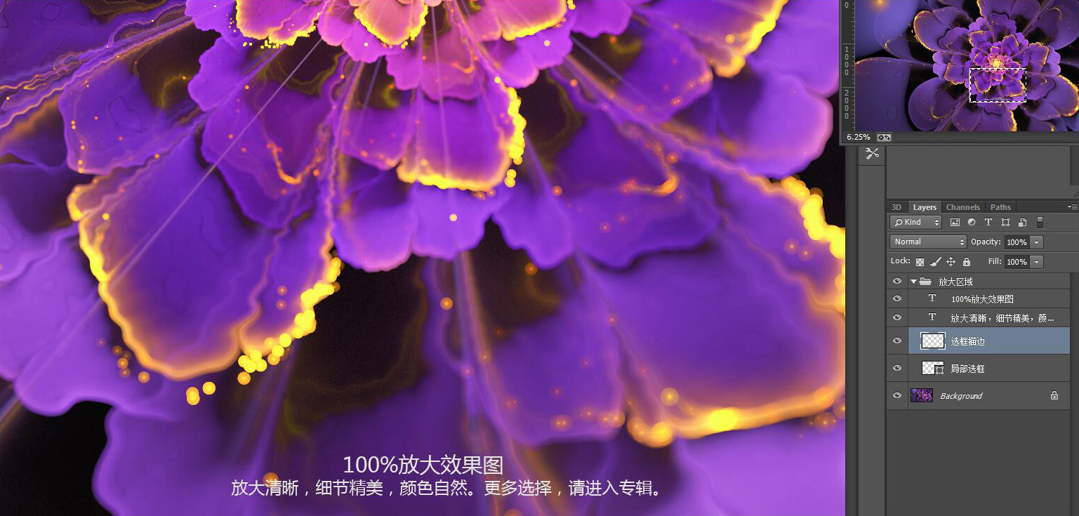 花朵