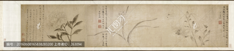 三花圖卷,元,趙衷