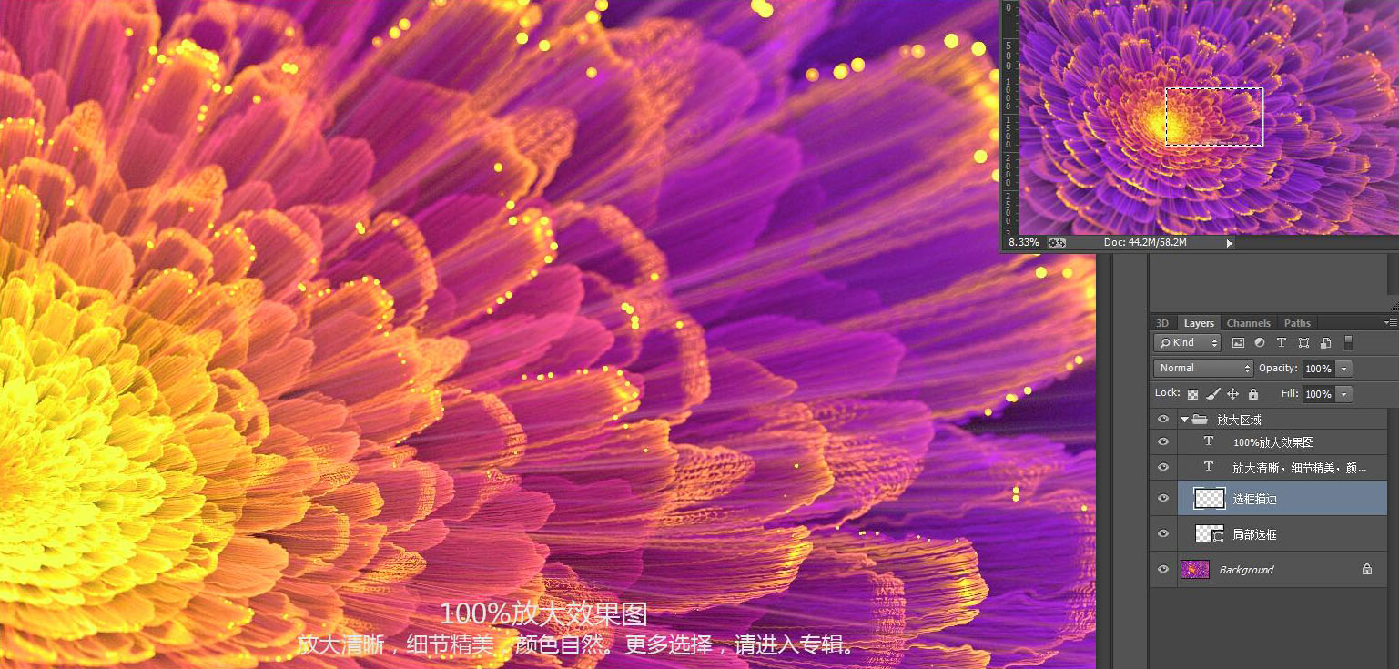 花朵