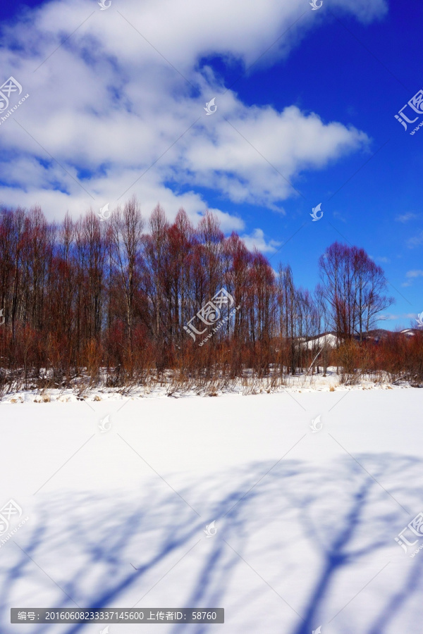 林海雪原