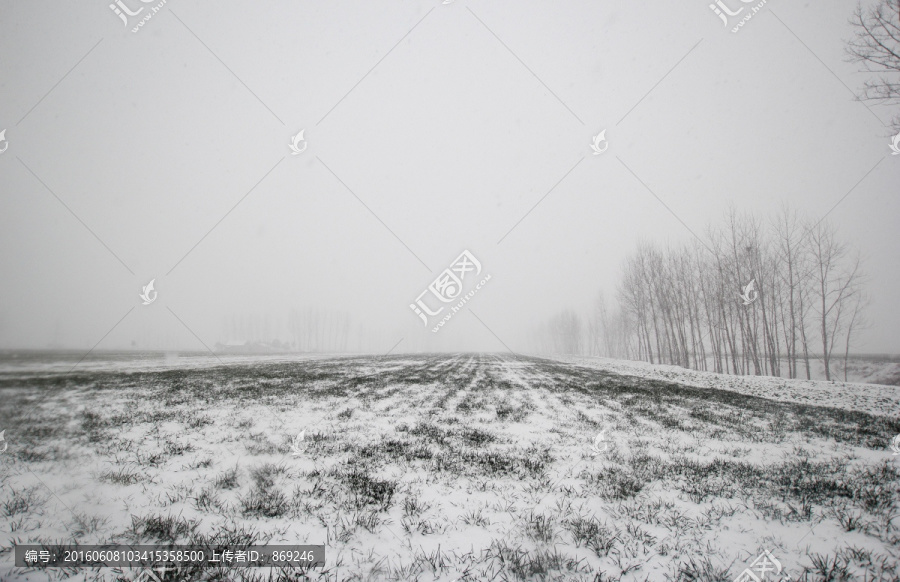 麦田雪景,田园雪景,瑞雪兆丰年