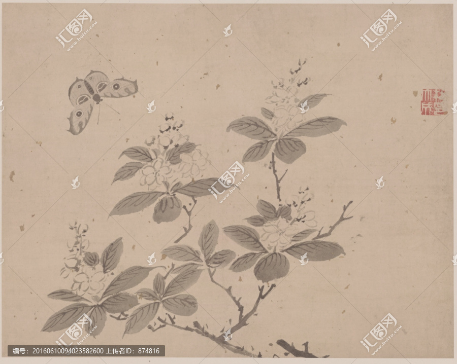 明,杜大成,花蝶草蟲